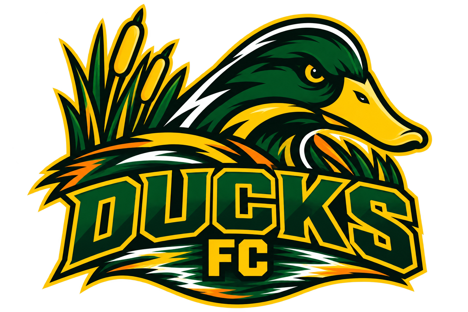Ducks logo