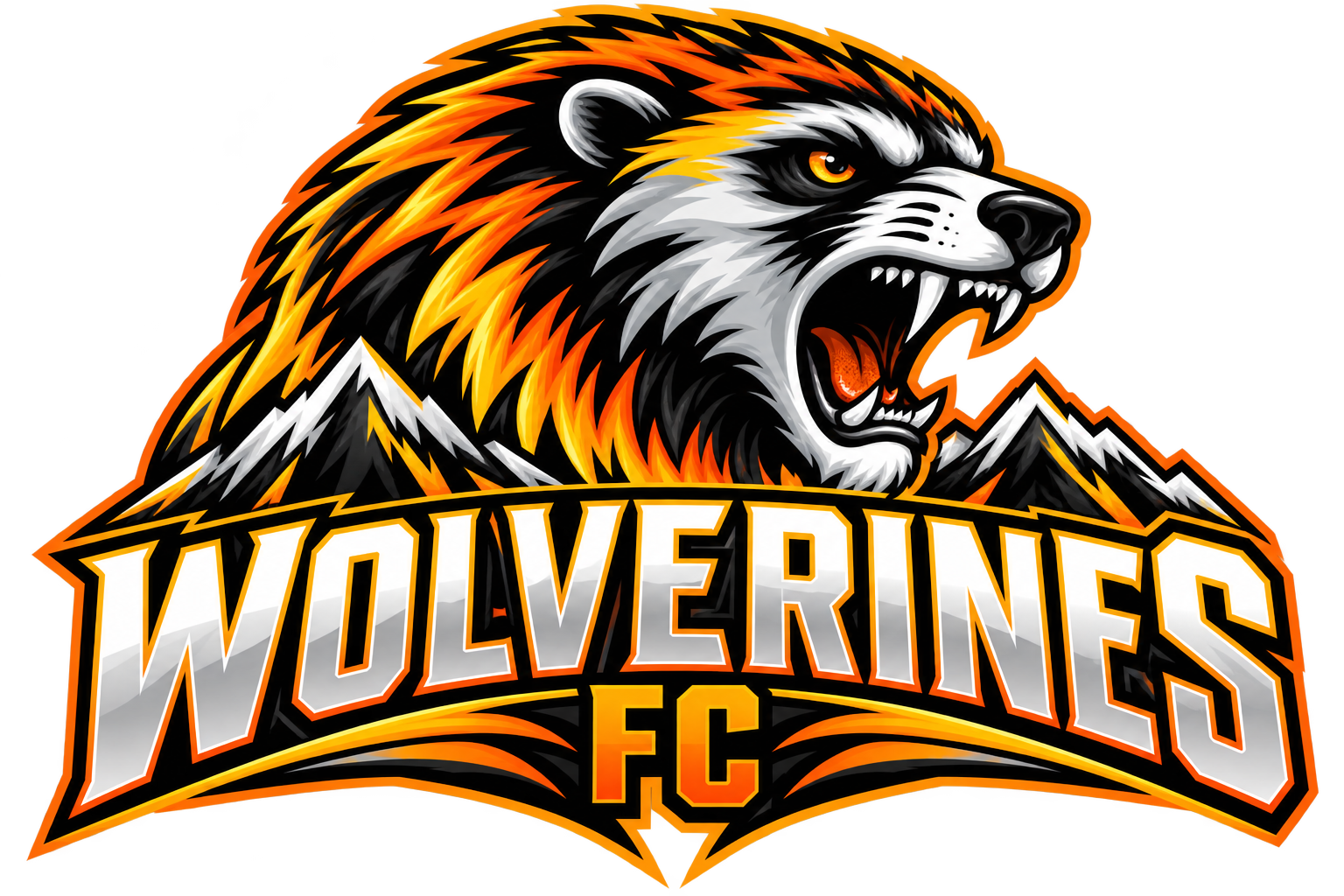 Wolverines logo